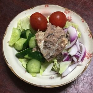 おつまみに！サバ缶とレッドオニオンのサラダ